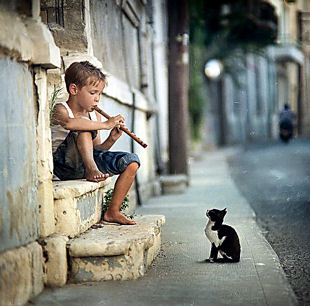 Enfant qui joue de la flute à un chat